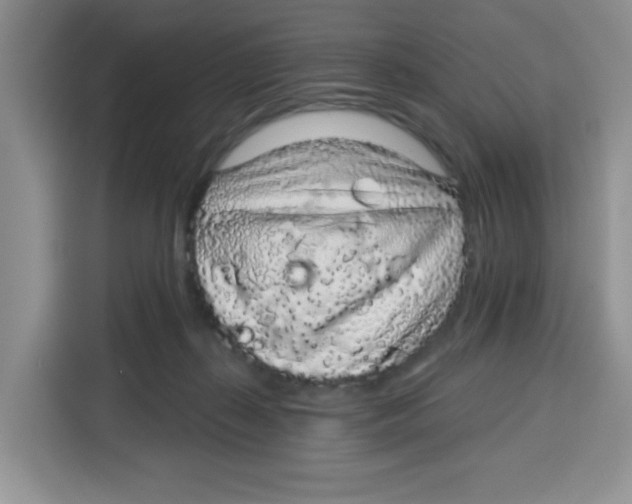 X0000115160267200911241555