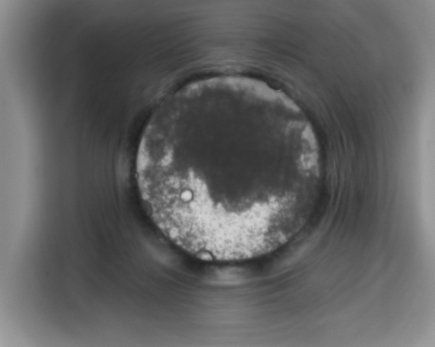 X0000115160268200911241555