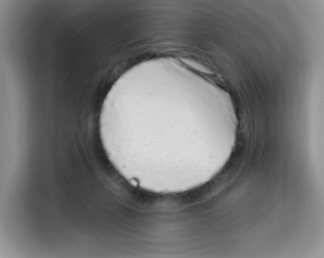 X0000115160271200911241555