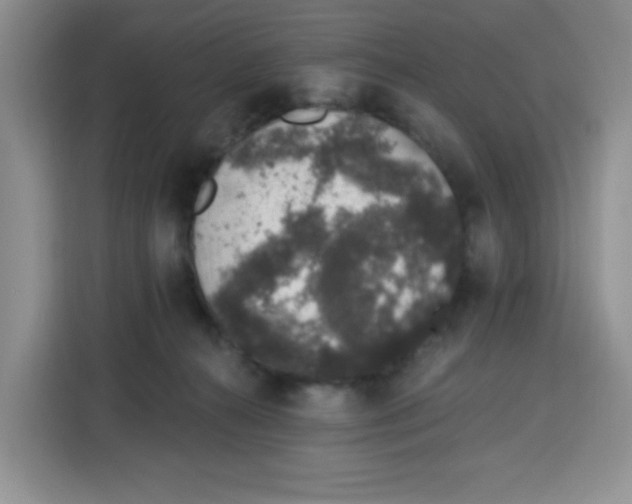 X0000115160272200911241555