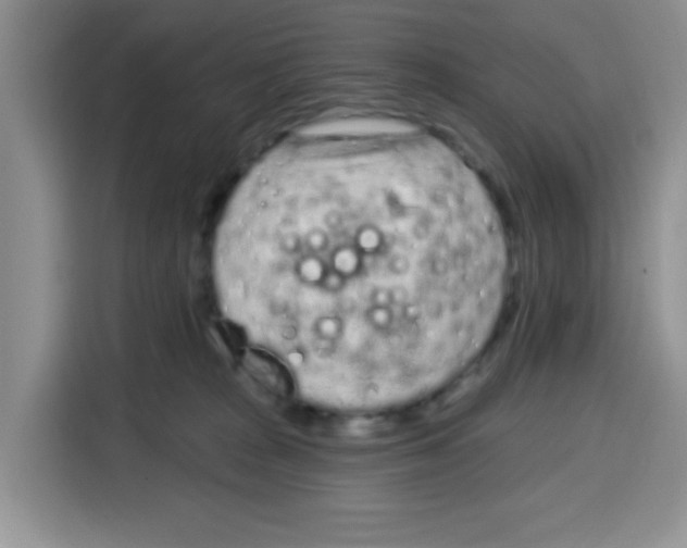 X0000115160277200911241555