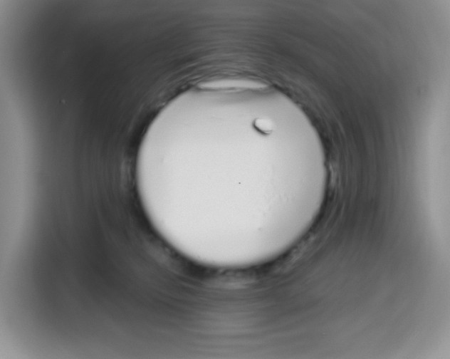 X0000115160278200911241555