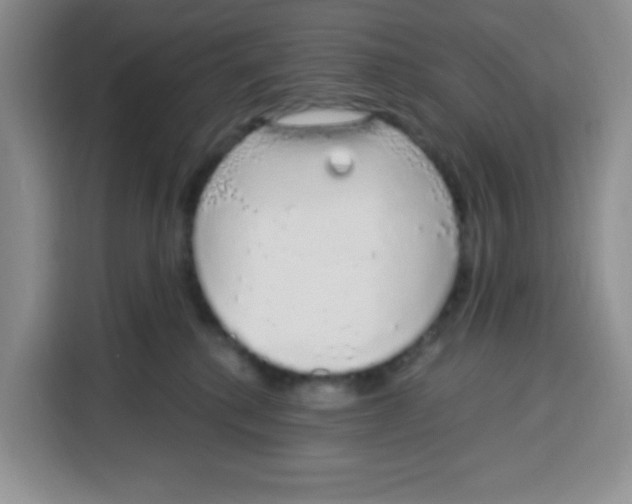 X0000115160280200911241555