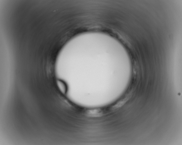 X0000115160281200911241555