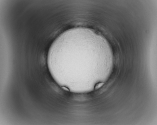 X0000115160282200911241555