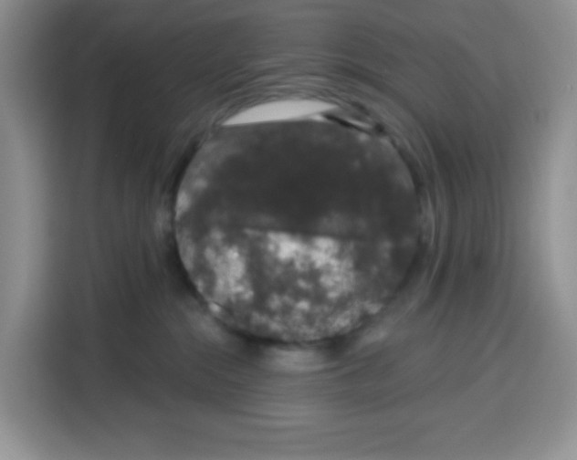 X0000115160284200911241555