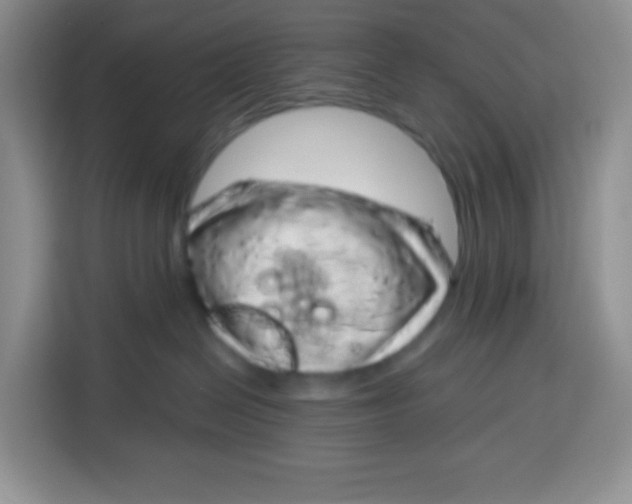 X0000115160286200911241555