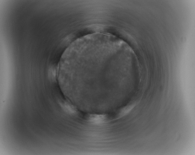 X0000115160288200911241555