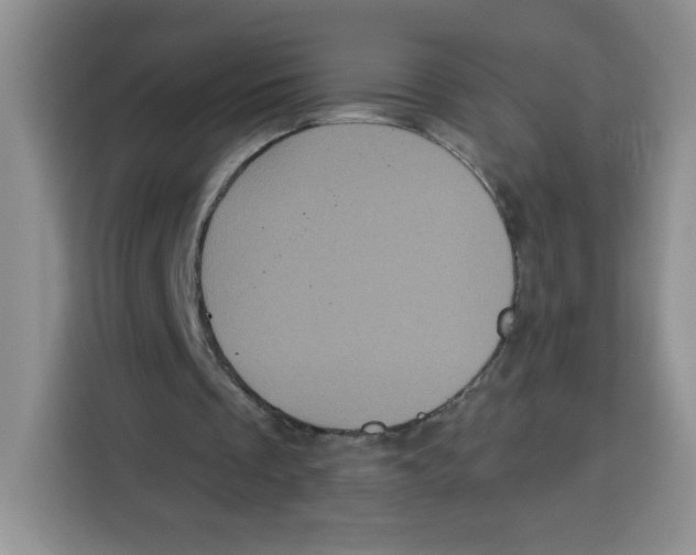 X0000115160289200911241554