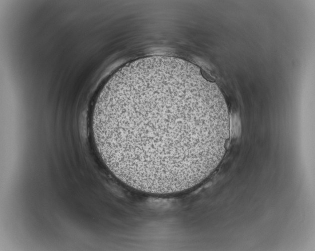 X0000115160291200911241554