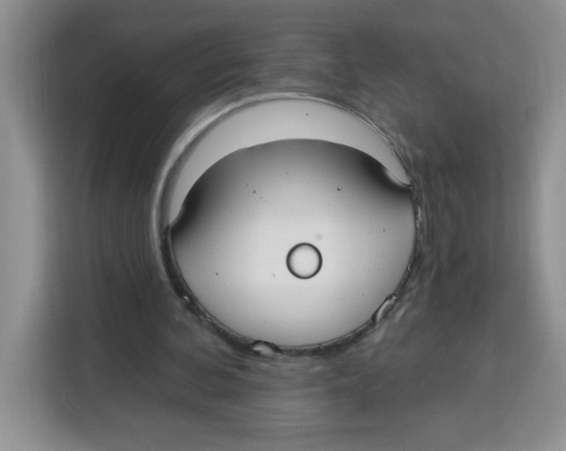 X0000115160292200911241554