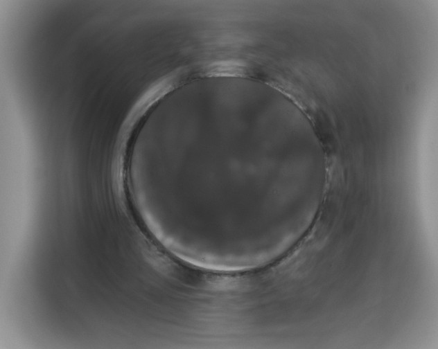 X0000115160293200911241554