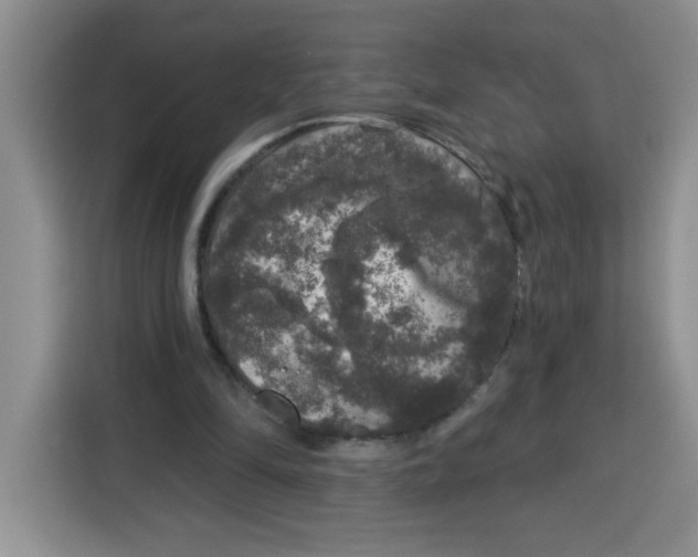 X0000115160294200911241554