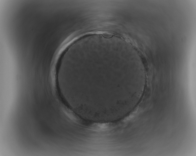 X0000115160295200911241554