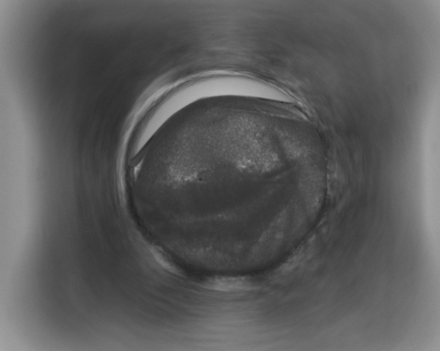 X0000115160296200911241554