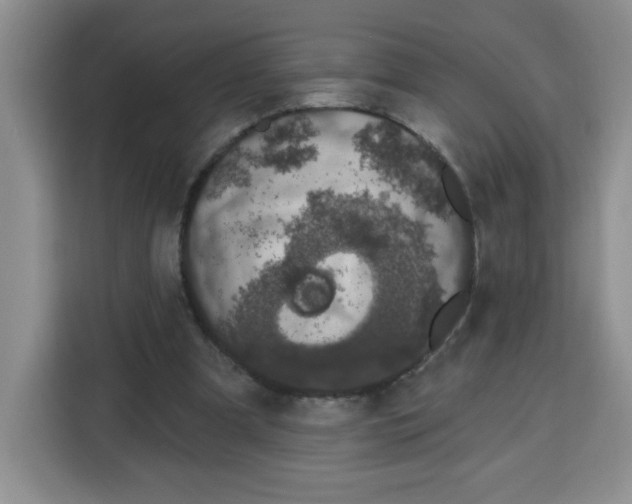 X0000115160297200911241554