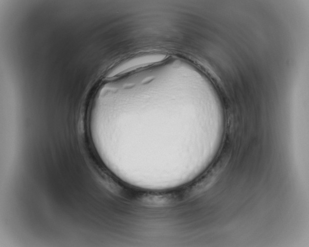 X0000115160299200911241554