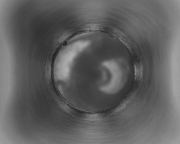 X0000115160301200911241554