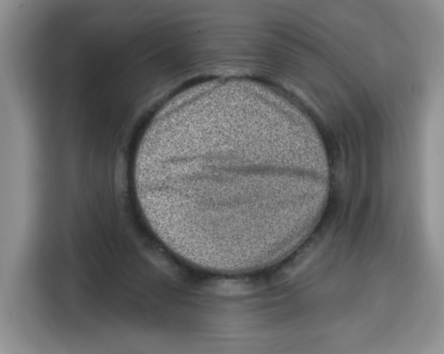 X0000115160303200911241554