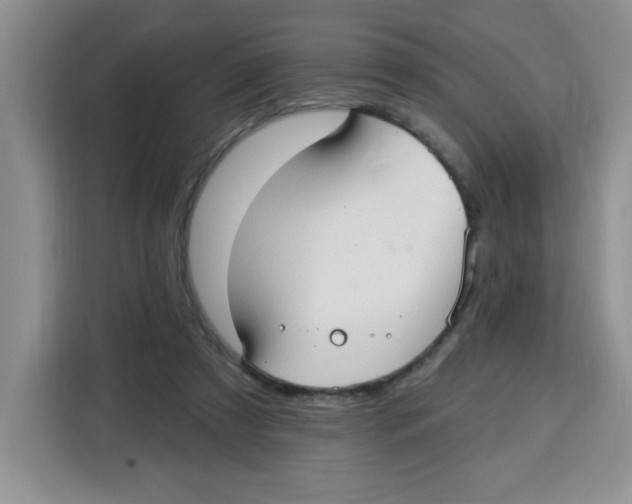 X0000115160305200911241554