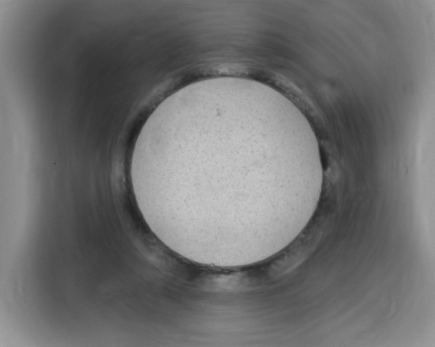 X0000115160306200911241554