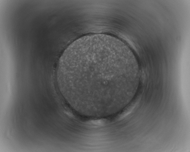 X0000115160307200911241554