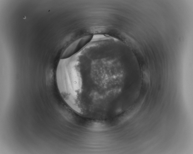 X0000115160308200911241554