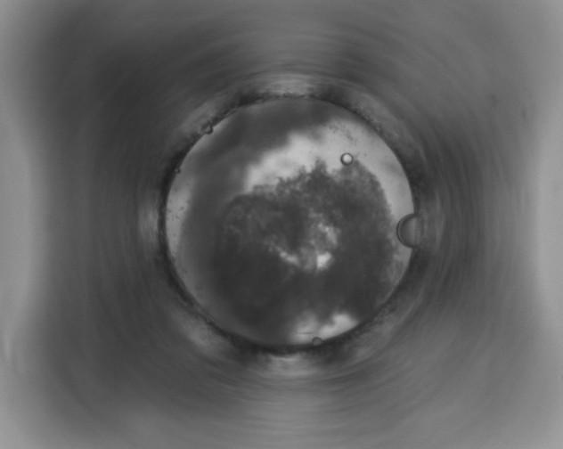 X0000115160309200911241554