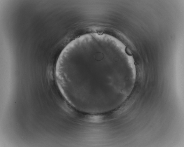 X0000115160313200911241554