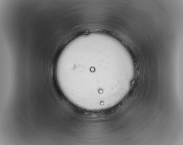 X0000115160315200911241554