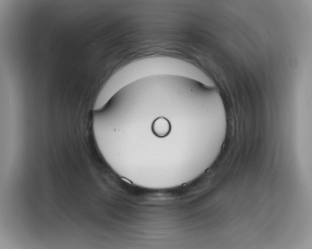 X0000115160316200911241554