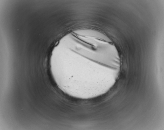 X0000115160319200911241554