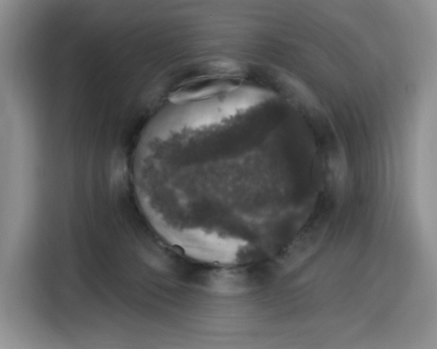 X0000115160320200911241554