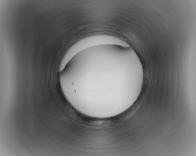 X0000115160323200911241554