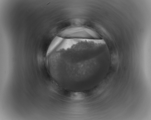 X0000115160324200911241554