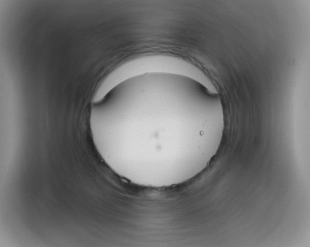 X0000115160325200911241554