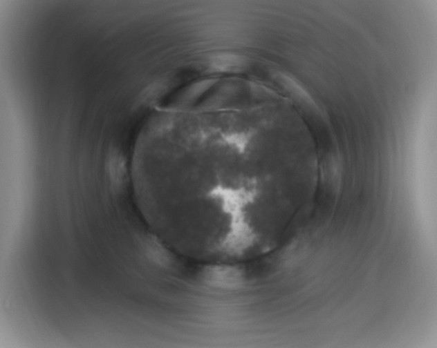 X0000115160327200911241554