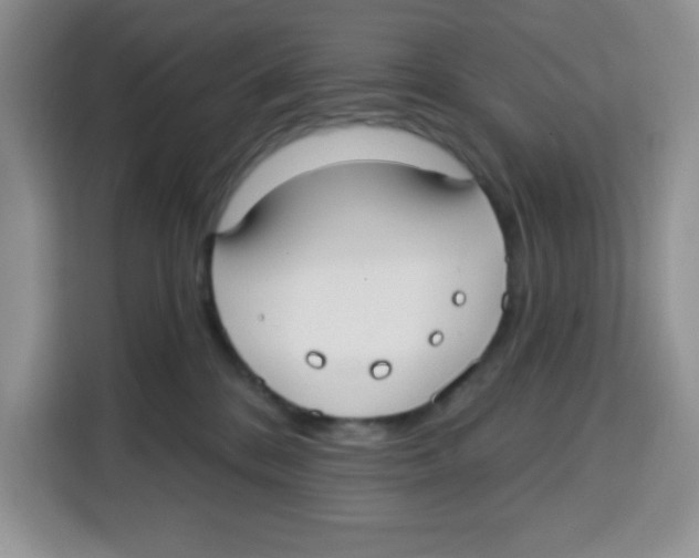 X0000115160328200911241554