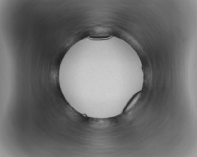 X0000115160329200911241554