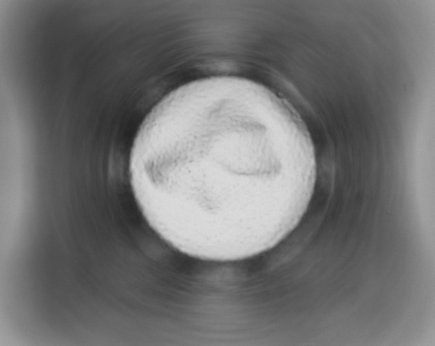 X0000115160330200911241554