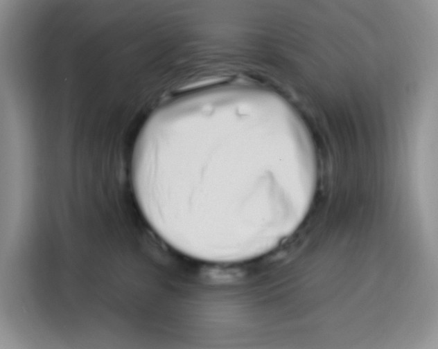 X0000115160331200911241554