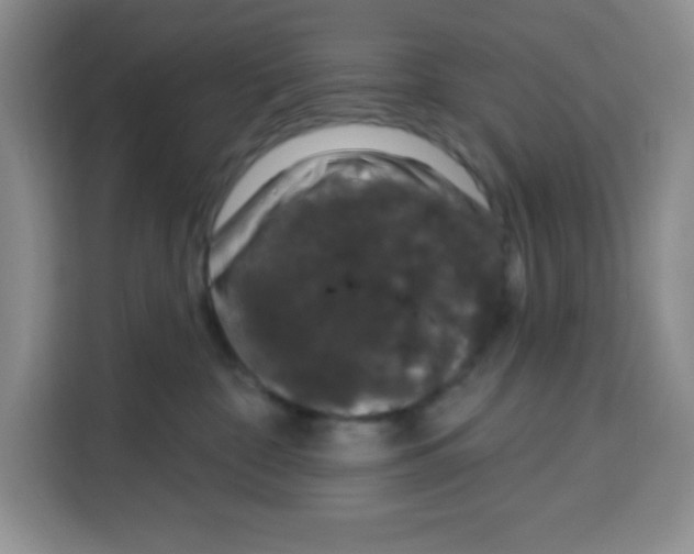 X0000115160332200911241554