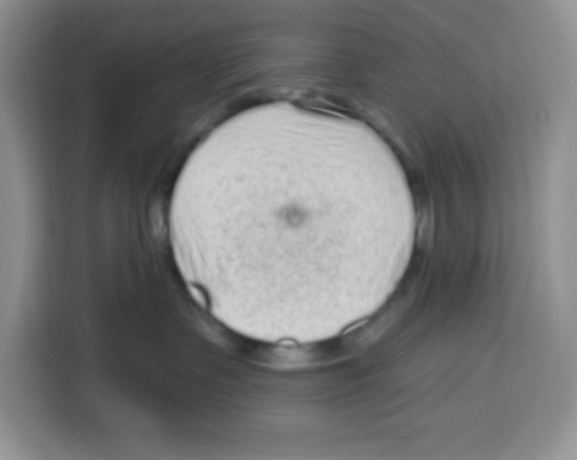 X0000115160335200911241554