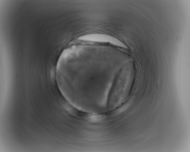 X0000115160336200911241554