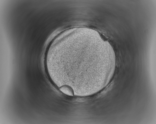 X0000115160341200911241553