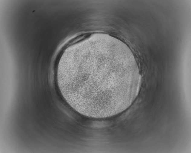 X0000115160342200911241553