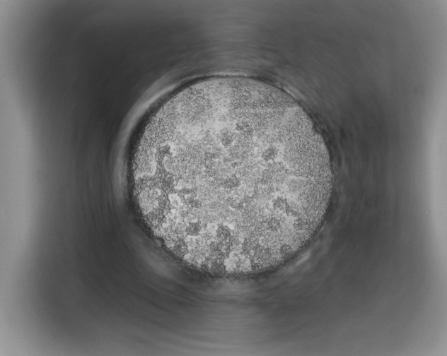 X0000115160343200911241553