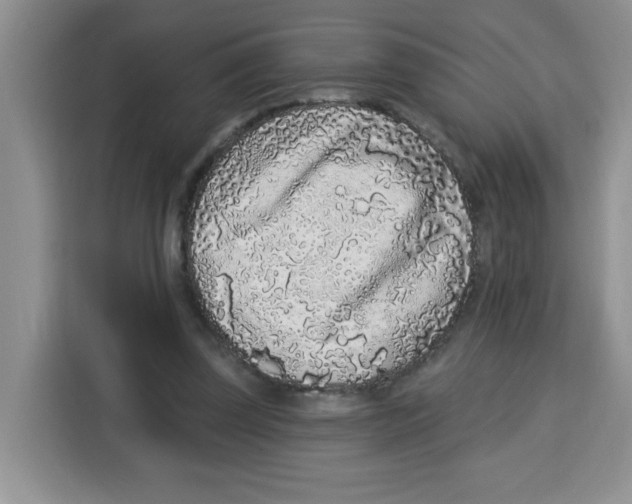 X0000115160347200911241553