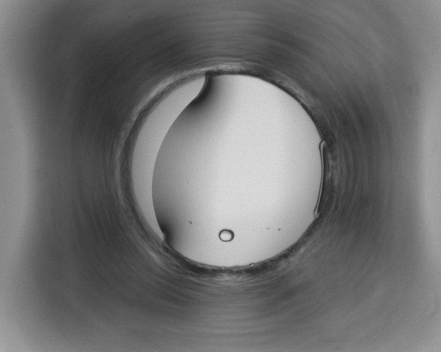 X0000115160350200911241553