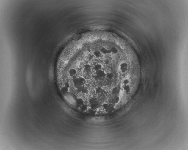 X0000115160353200911241553